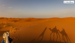 Journey Through The Sahara